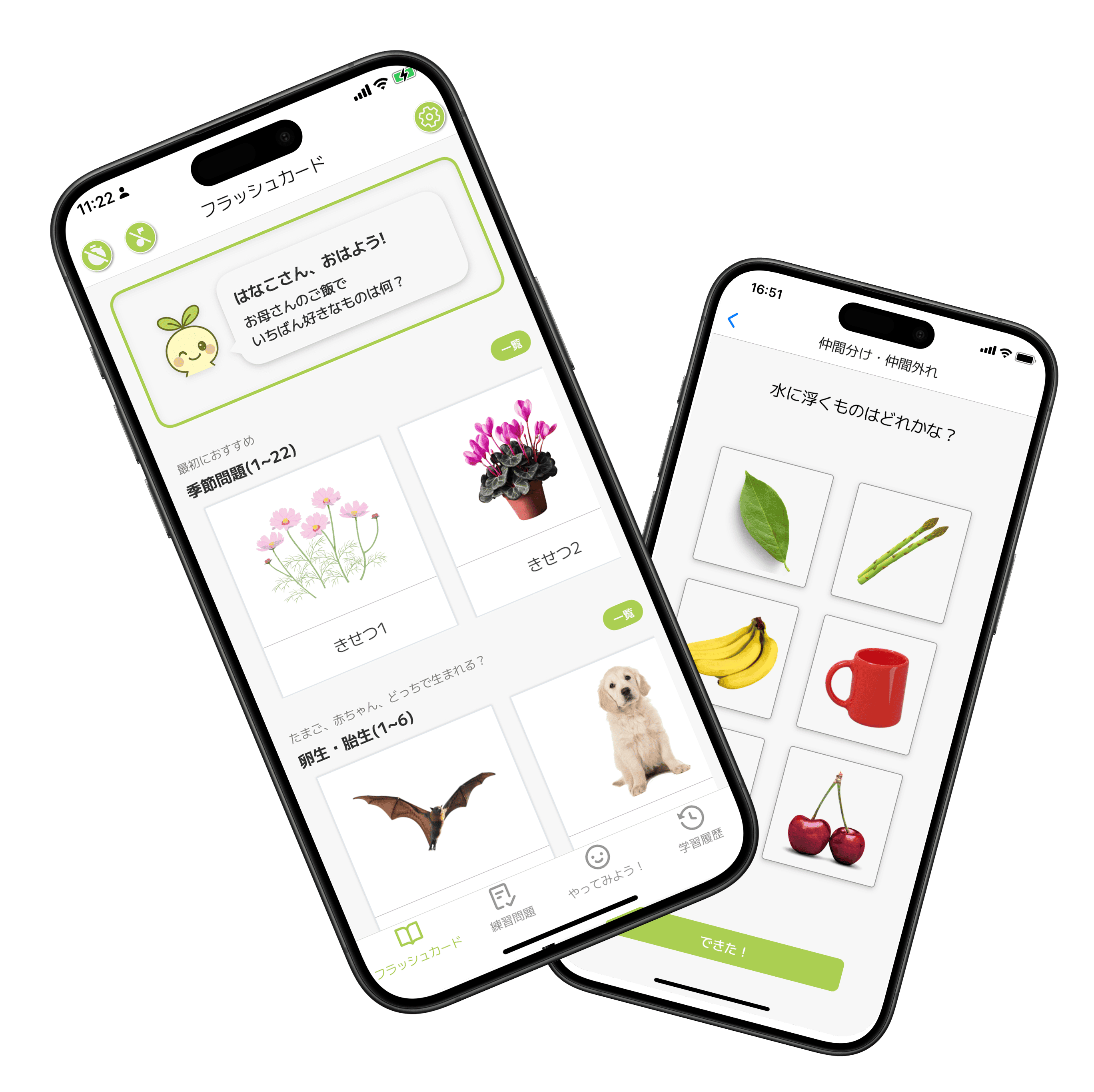 BrainySprouts のフラッシュカードと練習問題のアプリ画面